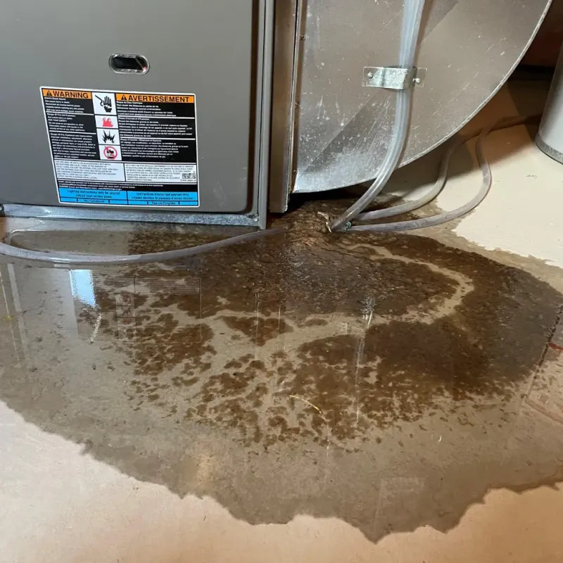 Appliance Leak Cleanup in Rio Blanco County, CO