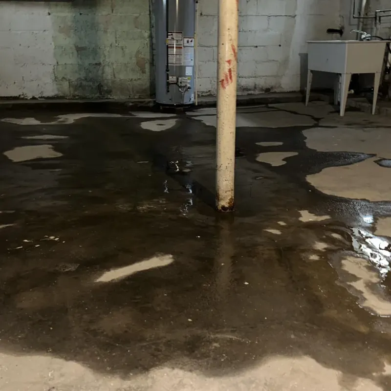 Emergency Water Extraction And Removal in Rio Blanco County, CO